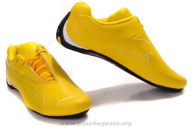 puma ceylon