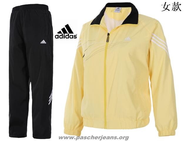 superstar adidas coloré